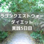 メタルスライムと初対戦 【DQウォーク実践5日目】