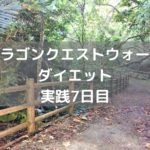 やっとりゅうおう(初級)撃破です 【DQウォーク実践7日目】