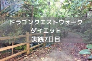 やっとりゅうおう(初級)撃破です　【DQウォーク実践7日目】