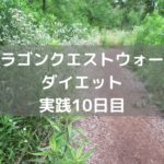 ゴーストの置物をようやくゲット! 【DQウォーク実践10日目】