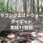 マニュアルバトルでなんとか勝利! 【DQウォーク実践11日目】