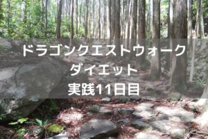 マニュアルバトルでなんとか勝利！　【DQウォーク実践11日目】