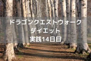 はぐれメタル初退治！　【DQウォーク実践14日目】