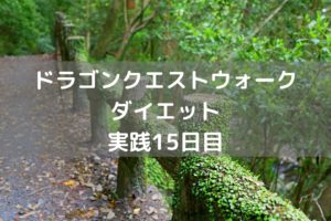 マニュアル戦闘は時間がかかるね～　【DQウォーク実践15日目】