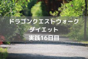 いきなりメガンテはないでしょう・・　【DQウォーク実践16日目】