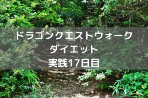 りゅうおうのつえ半端ないやろ・・・　【DQウォーク実践17日目】