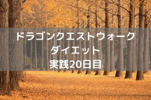 かなりの長期戦でした　【DQウォーク実践20日目】
