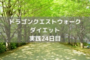 行きづらい場所に扉設置は勘弁して！　【DQウォーク実践24日目】