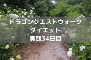 プレイがマンネリ化してきたので・・　【DQウォーク実践34日目】