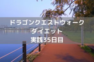 公園でプレイすると迷子状態に・・・　【DQウォーク実践35日目】