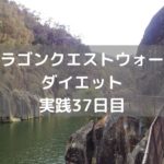 運営さ~ん ジェムが全然足りないよ 【DQウォーク実践37日目】