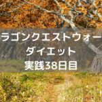 スカイドラゴンのこころS入手なるか 【DQウォーク実践38日目】