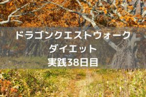スカイドラゴンのこころS入手なるか 【DQウォーク実践38日目】
