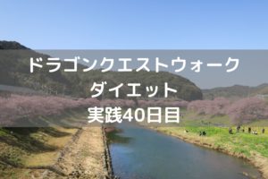 ドラクエⅣイベント始まりました　【DQウォーク実践40日目】