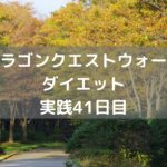 ドラゴンメダルどうしよう・・・ 【DQウォーク実践41日目】