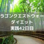 心珠システムがようやく理解出来た! 【DQウォーク実践42日目】
