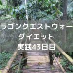 ギガデーモンの討伐が厳しい・・・ 【DQウォーク実践43日目】