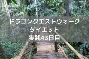 ギガデーモンの討伐が厳しい・・・　【DQウォーク実践43日目】