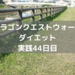 ギガデーモンのこころS 2個キター! 【DQウォーク実践44日目】