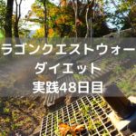 かゆい所に手が届くアップデート☆ 【DQウォーク実践48日目】