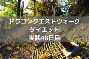 かゆい所に手が届くアップデート☆　【DQウォーク実践48日目】