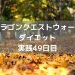 もう少し表示の範囲を広げて欲しいな 【DQウォーク実践49日目】