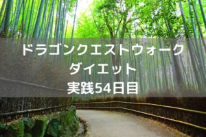 ドラクエⅣ ROMカセットをゲット!! 【DQウォーク実践54日目】