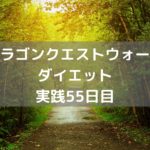 いえの出入りが面倒くさくないですか?【DQウォーク実践55日目】