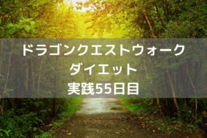いえの出入りが面倒くさくないですか？【DQウォーク実践55日目】