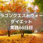今のはメラではない…メラゾーマだ! 【DQウォーク実践66日目】