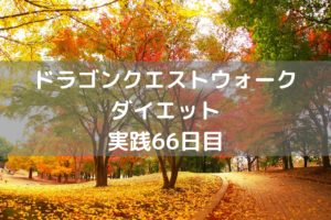 今のはメラではない…メラゾーマだ! 【DQウォーク実践66日目】