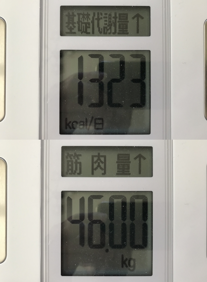 ドラクエウォークダイエット実践70日目の基礎代謝量と筋肉量