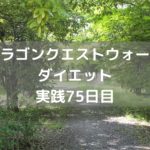 メタフェスイベント期間中だけだと? 【DQウォーク実践75日目】