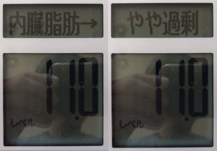 ドラクエウォークダイエット実践76日目の内臓脂肪レベルの値