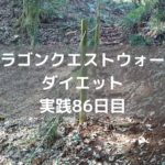 あれ?強敵モンスターって強くない? 【DQウォーク実践86日目】