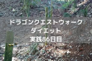 あれ？強敵モンスターって強くない？　【DQウォーク実践86日目】